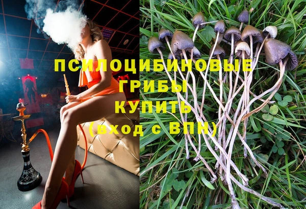метадон Лабытнанги