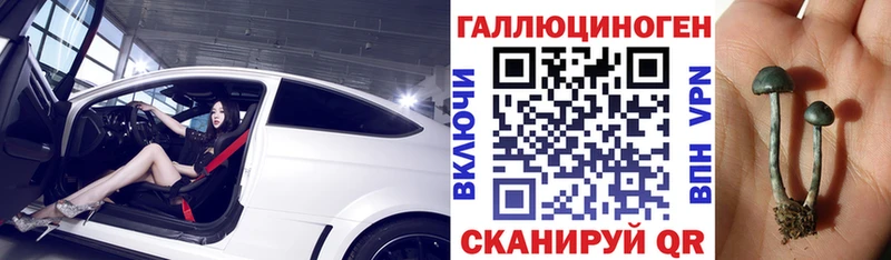 Галлюциногенные грибы мицелий  даркнет сайт  Стародуб 
